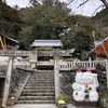 猫がいっぱい！お松大権現 【徳島】