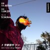 朝ラン、脹ら脛痛　11.6㎞～12月2日～