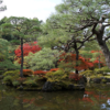 銀閣寺の紅葉③