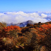 久住連山の紅葉は今が見ごろ　今日は雲海も広がっていた