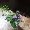 編み編みクラブでした。