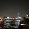隅田川テラス6キロ：リハビリの後、なぜか追い込んでしまった