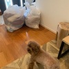 赤ちゃん用品の見直し👶🏻ྀིあーくんは、意識がプツプツ切れます🍀*゜