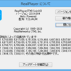  RealPlayer 22.0.4.304 