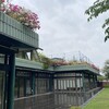 雨の昼休みを過ごす　ジュレの製造準備　ジャーマンアイリス