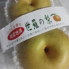 ここにも秋かぁ～世羅の梨