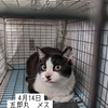 TNR、お疲れ様でした🐾