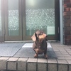 怯まないで！