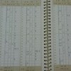 育児日誌で振り返る　0歳3ヶ月　下の歯が生えた・おんぶ開始