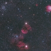 M35~クラゲ～モンキーフェイス星雲付近