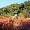 京都東山・紅葉の永観堂で思う