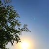 何もしない休日