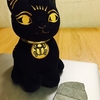 Bastet the Catがやって来た