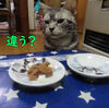 交渉条件外です