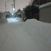 日本列島の大雪