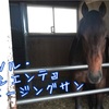 2歳馬たちの近況まとめ