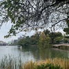 洗足池公園