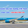 Cập nhật chuyến bay hồi hương Việt Nam mới nhất