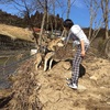 トトロは大型犬だから。