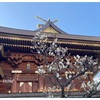 学問の神様 【湯島天満宮】で合格祈願のご祈祷⛩️ご利益ありました🌸お礼参りは梅まつり