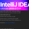 IntelliJ IDEA2020.3のEAPにしたらLombok使ってるプロジェクトのビルドができなくなったお話