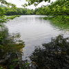 山居の池（新潟県佐渡）