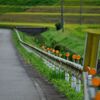 雨上がりの山へ