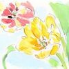 1501日目とチューリップ
