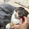 雪掻き、お疲れさまです。