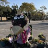 ウナギドッグ 2025年3月「おひなさま」