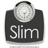 HTMLテンプレートエンジン「slim」の解析ツールslim-lintを導入してみた！