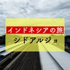 東ジャワ州の州都スラバヤへいざ行かん【インドネシアの旅：シドアルジョ】