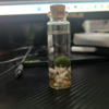 あっ命だあ……