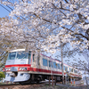 桜が似合う電車