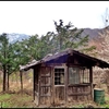 色んな風景～サクラと小屋とアルプスと～