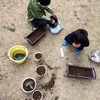 多肉植物の復活とおばあちゃんの米寿のお祝いに向けてコサージュ作り☆