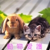 動物愛護週間 