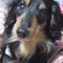 トミージジ’s blog