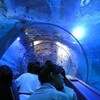 八景島シーパラダイスに行った