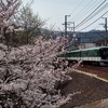 桜と京阪電車