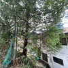 久しぶりに作業