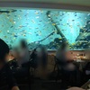 【名古屋港水族館】水族館内のレストラン鮫肉バーガーを食べる