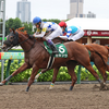 日曜競馬　展望