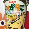 カルビー　じゃがりこ　バスるチーズ味だよ