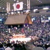 2010年大相撲春場所(千秋楽)