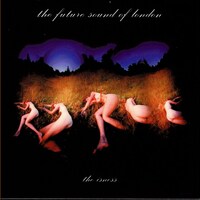The Amorphous Androgynous『The Isness』(2002)｜サイケデリック・ロックとエレクトロニカが融合した傑作