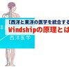 【東洋と西洋の医学を統合する！】Windshipの原理とは？