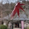 弘法大師空海のお話㉘ ～ 川崎大師平間寺への参詣路、高野山から吹き寄せる誓願の風 ～ 「法の水茎」150