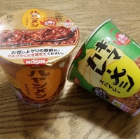 新製品 日清 スパイスカレー カレーメシ おしゃれチキン の実食した感想 胃を切った人はほどほどに 食べるをいかすライオン 新製品 日清 スパイスカレー カレーメシ おしゃれチキン の実食した感想 胃を切った人はほどほどに 食べるをいかすライオン