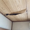 築古戸建てを見に行った